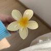 6cm Fermagli alla Moda Fiore d'Uovo per Capelli da Donna Boemia Gradiente Fiore Fermaglio per Capelli Vacanza al Mare Ragazze Dolci Accessori per Capelli