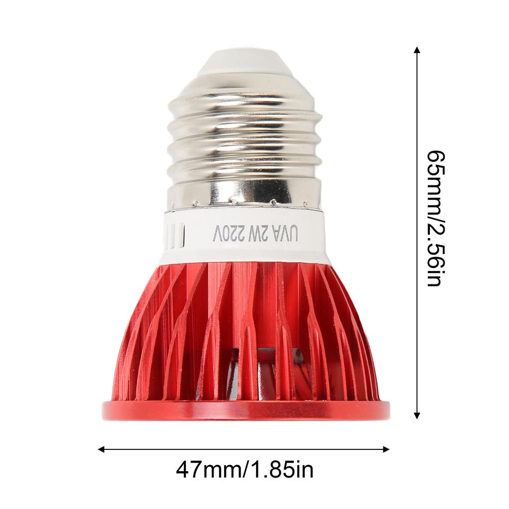 2W Reptile Heat Lamp Bulb E27 Standard Thread Low Power Turtle Basking Light Bulb for Reptiles Amphibian 110v 220v Optional