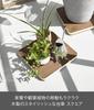 Yamazaki RIN Interior Low Platform W30 x D30 x with Discreet 10064 Cart, Square, Brown, H3.1cm, Casters, Compact,