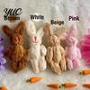Small Animal Figurine with Tin Box Little Pocket Bunny Plush Toy in Box, Mini Stuffed Rabbit Cute Desktop Ornament for Kids Accessories, Portable