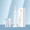 Dr. Bei Sonic Electric Toothbrush CN Plug (adapter Included)