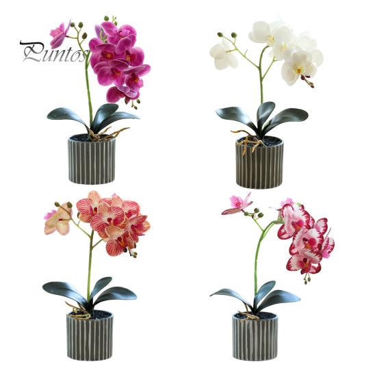 Yapay Saksı Bitkisi Sahte Güve Orkide Bonsai Masaüstü Yapay Saksı Phalaenopsis Çiçekleri Ev Yemek Masası Ofis Masası Dekorasyonu