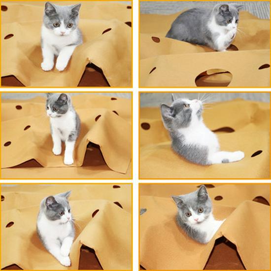 Pet Play & Bite Mat - Cat Litter & Kitten Activity Mat