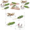 Lifelike Insect Model Set With Four Unique Designs Including Orchid Mantis Leaf Insect And More