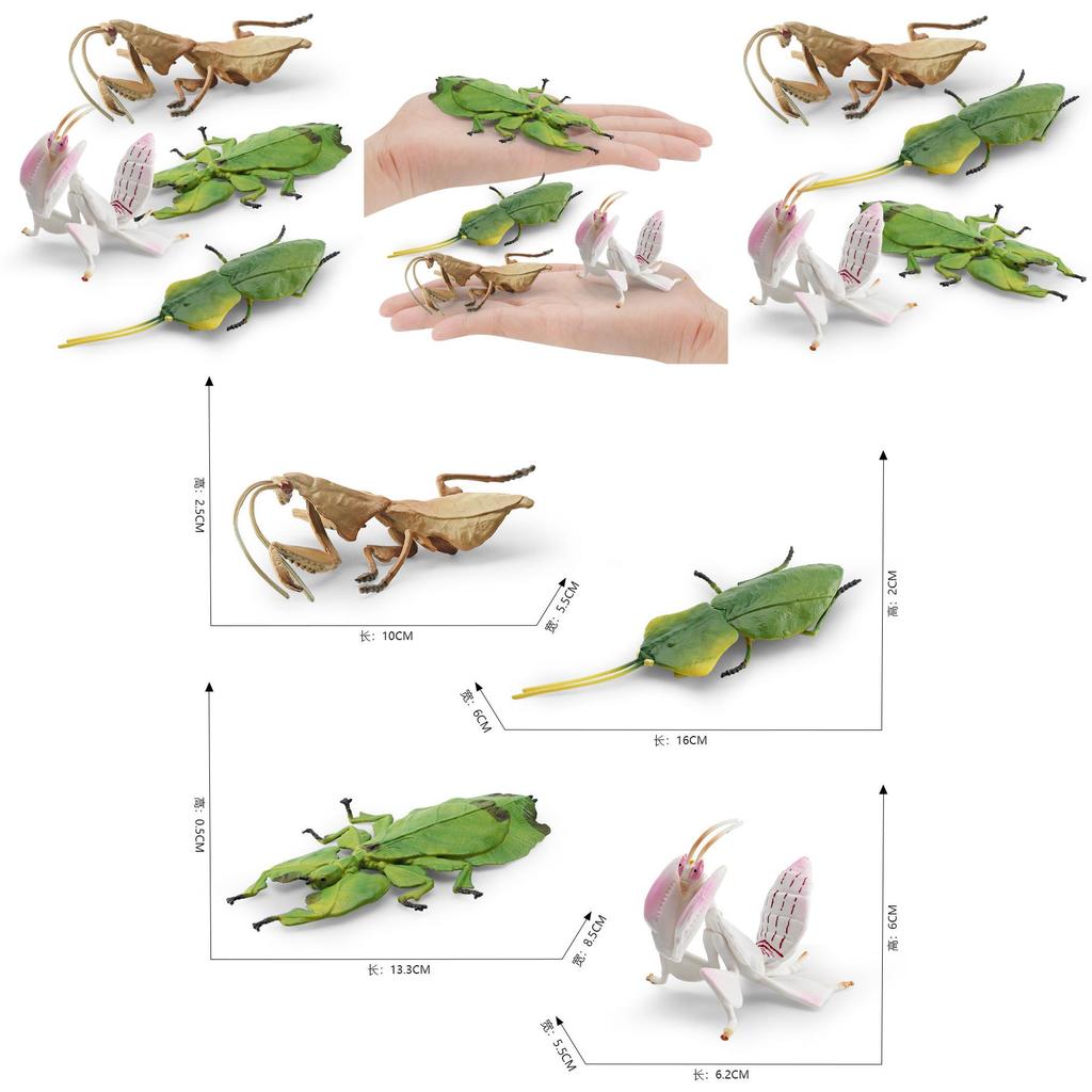Exquisite Pvc Insect Figures Collection Including Leaf Mantis Stick Insect And Dead Leaf Mantis