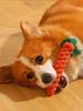 1pc Rope Knot Grinding Teeth Resistant Hand-woven Animal Cotton Rope Small and Medium-sized Dog Pet Dog Toys