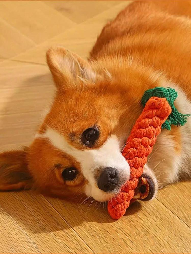 1pc Rope Knot Grinding Teeth Resistant Hand-woven Animal Cotton Rope Small and Medium-sized Dog Pet Dog Toys