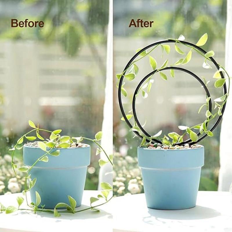 3 Stück Runder Metall-Pflanzenrankgitter für Kletterpflanzen Innen-Hauspflanzen-Stützgitter für Garten-Topfpflanzen-Stütze