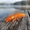 48PCS 2.95inch Fishing Worm Lures Soft Bass Baits Hellgrammite Fishing Lures  Bass Fishing