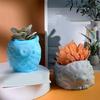 Silikon Handgefertigte Formen Einzigartige Blumentopf Formen Tierform Silikon Sukkulenten Pflanzgefäß Form Bastelform für Blumentopf