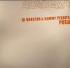 12inch Record DJ ROOSTER  SAMMY PERALTA  Push ACADEMY016 Academy Records 2005 UK Dance  Electronica Used