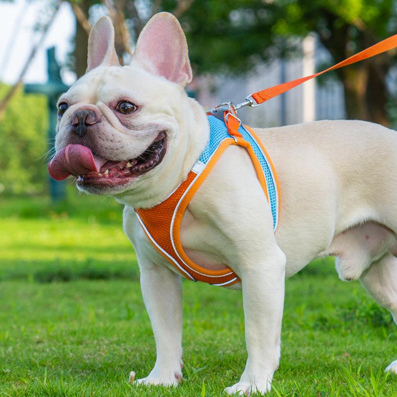 Reflective Nylon Vest-Style Dog Harness and Leash Set