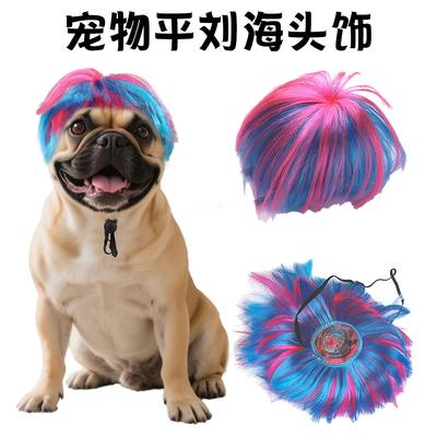 Ropa y calzado – Accesorios para perros