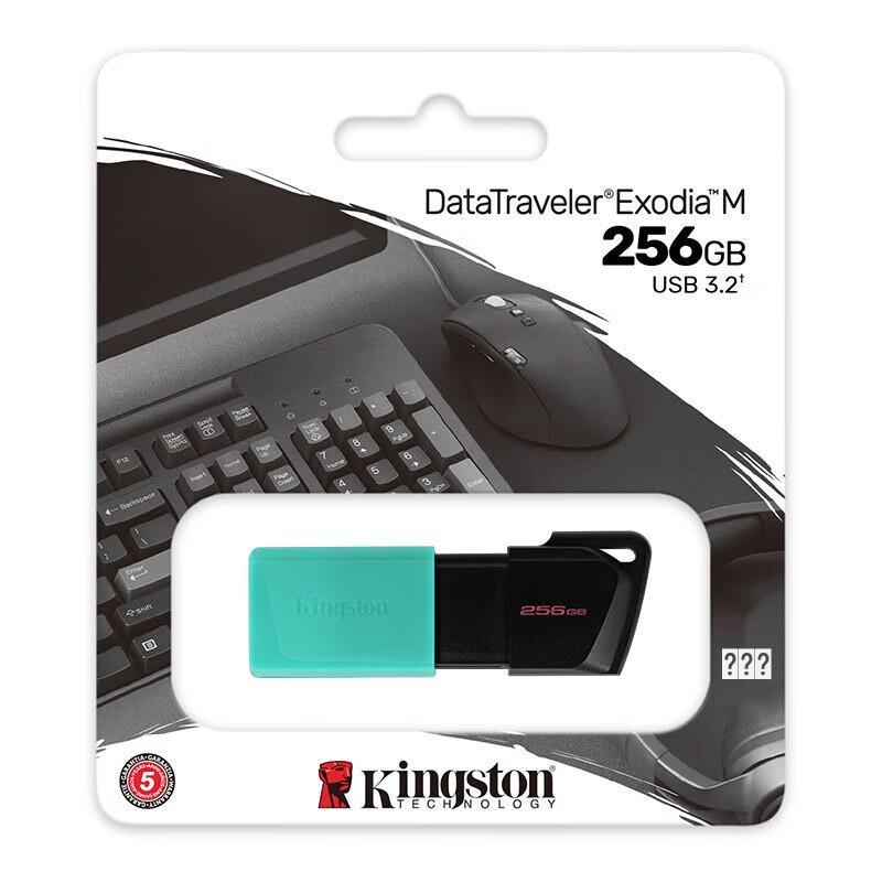 Kingston DataTraveler DTXM 256GB USB 3.2 Gen 1 Flash Drive