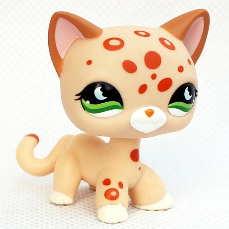Rare Littlest Pet Shop Lps Toy Toy Mini Stands Short Hair Kitten Old Figures Collection Al Bobble Head Toy