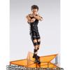 S.H.Figuarts T.M.Revolution Takanori Nishikawa