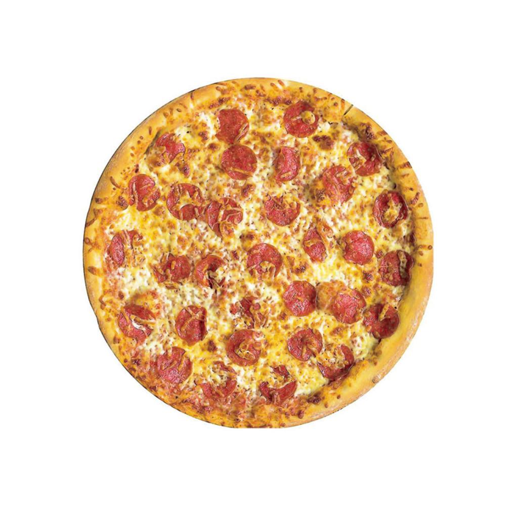 Double Sided Soft Flannel Giant Flour Blanket Burritos Tortilla Throw 285 GSM Taco Blankets Fly Pie Pizza Warm Wrap Food Blanket