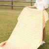 Outdoor Picknickdecke Wasserdicht Sanddicht Stranddecke Extra Groß Tragbar Rechteckig Faltbar Camping Feuchtigkeitsbeständige Matte mit Tragegurt