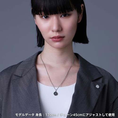 Lion Heart Men's Lion Coin Necklace, Pre-Wrapped, Czech Gold Coin, 316L Surgical Stainless Steel, Silver, Hypoallergenic, Includes Custom Pouch.