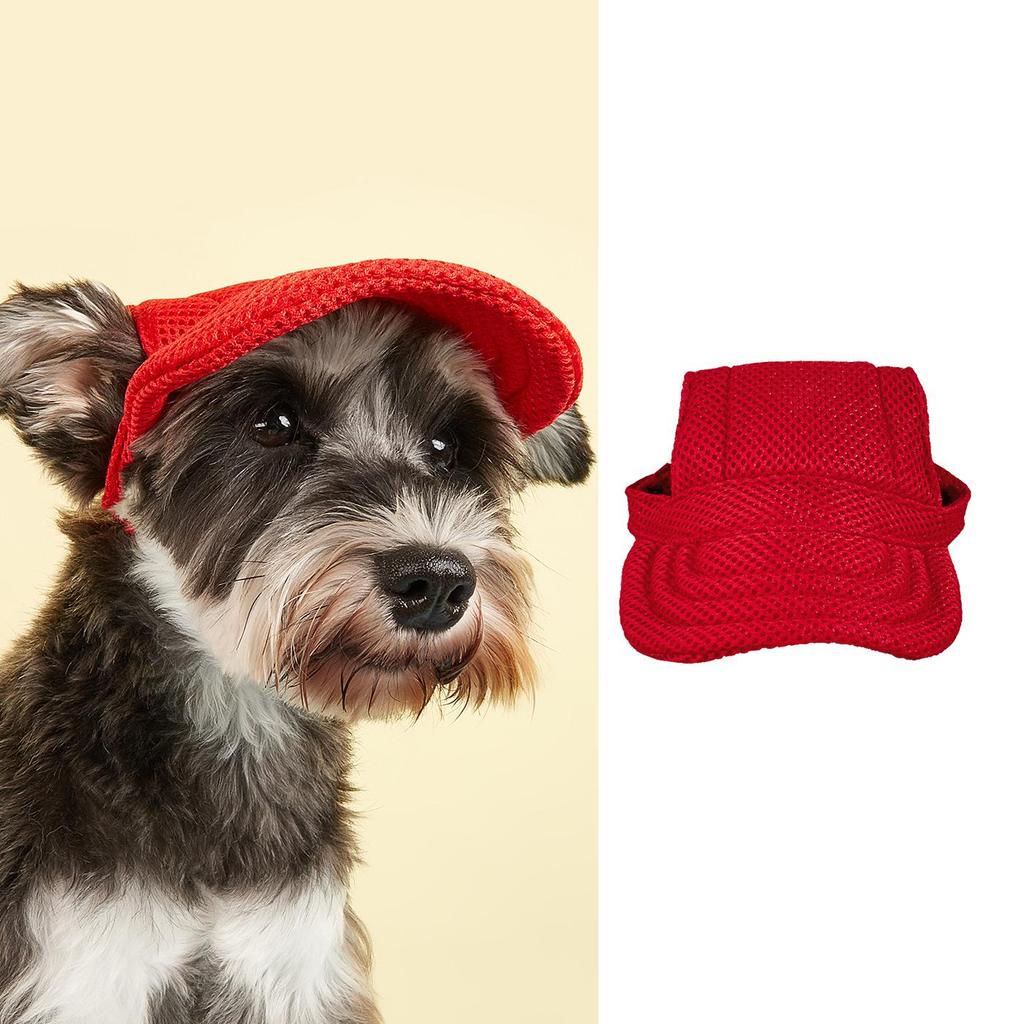 Casual Mesh Baseball Cap for Small Dogs: Golden Retriever, Bichon, Corgi, Teddy, Yorkie, Pomeranian