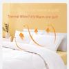 FUANNA All-Season Antibacterial Soy Fiber Blend Quilt