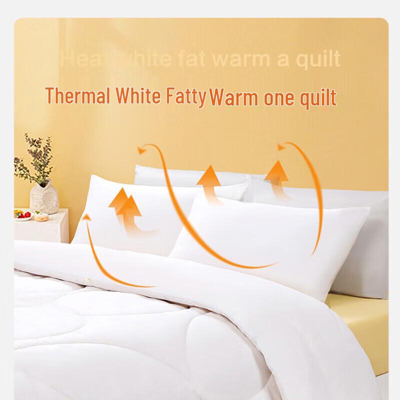 FUANNA All-Season Antibacterial Soy Fiber Blend Quilt