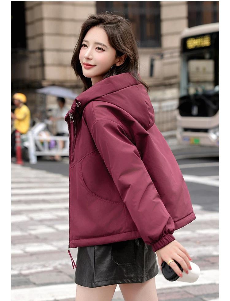 Women’s Short Hooded Quilted Cotton-Padded Winter Jacket