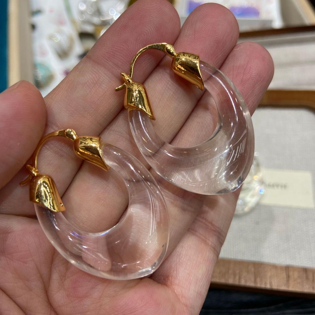 Light Luxury Transparent Metal Earrings Women'S Niche Design High-End Fashion Retro Tortoiseshell Earrings