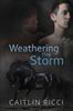 Kniha Weathering the Storm Volume 1