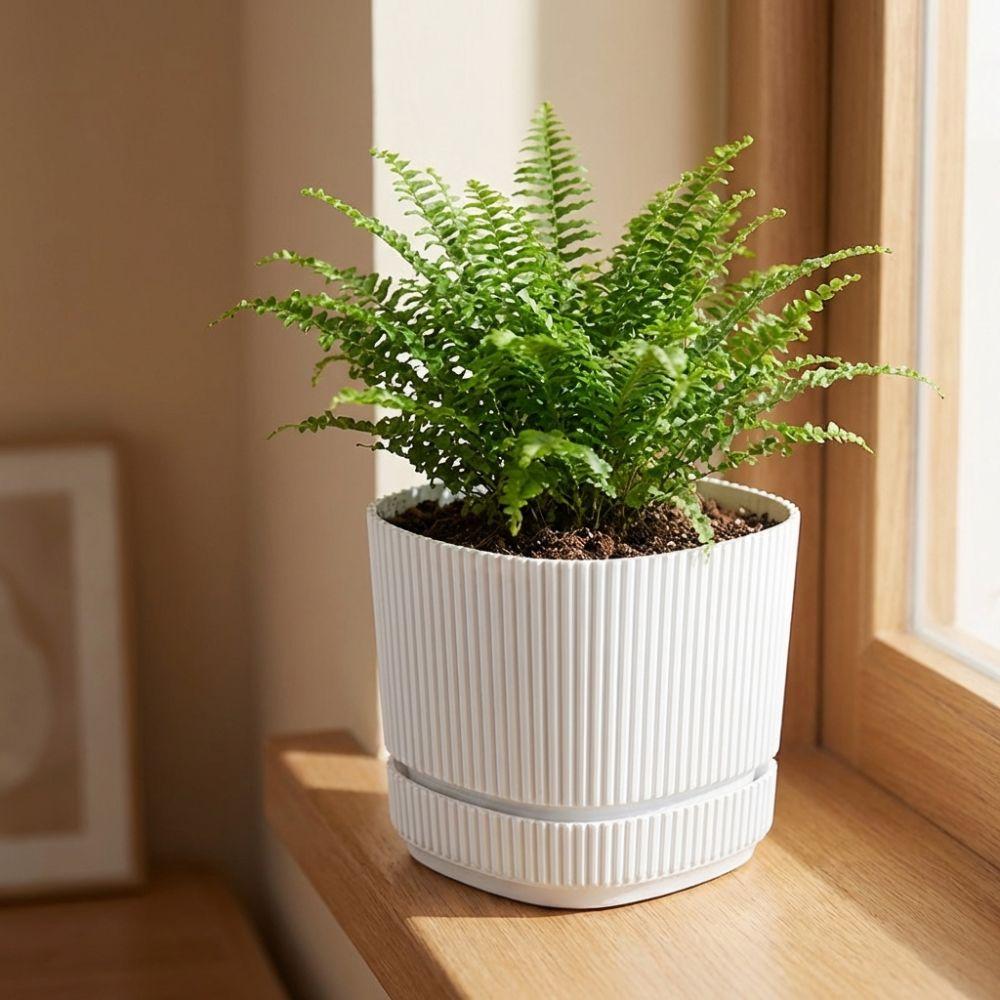 Double Layer Self Watering Flower Pot with Drainage Hole Desktop Vase Hydroponics Plant Pot Thickened Plastic Lazy Plant Pot