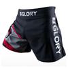 Shorts d'entraînement MMA OEING