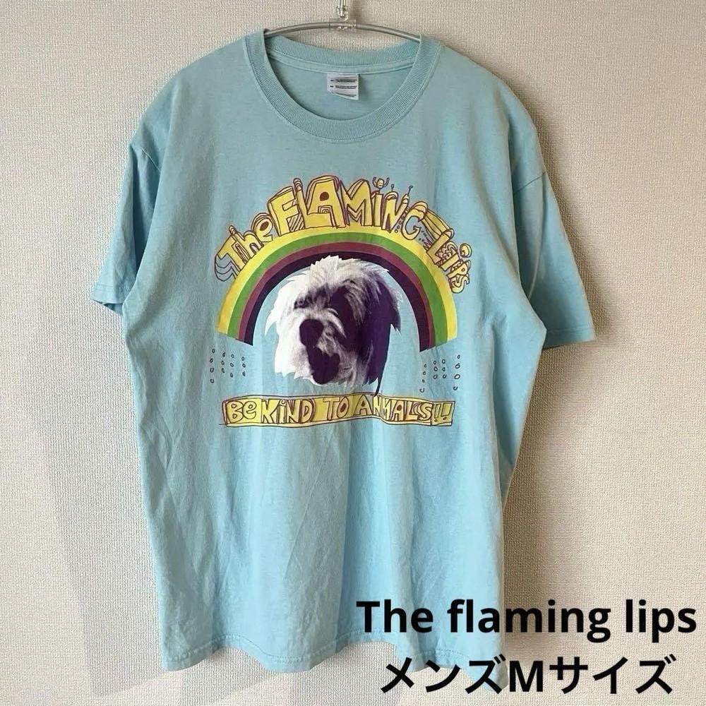 The Flaming Lips band Be Kind To Animals Light Blue T shirt classic NH16371 S