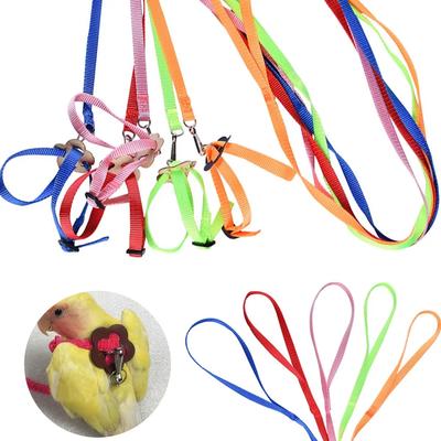 Adjustable Parrot Bird Hamster Turtle Lizard Traction Rope Pet Strap Leash Outdoor Harness Training Rope Anti-Bite Fly Belt