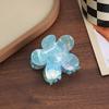 French Atmosphere~ Fairy Transparent Flower Hairpin Grab Clip Female Advanced Sense Back Head Shark Clip