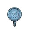Qidongsheng Chrome-Plated Axial Vibration-Resistant Pressure Gauge