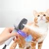 Cat Steams Brush Non-irritating Steams Cat Shedding Brush Multifunctional Pet Grooming Tool for Hair Removal Detangling Comb