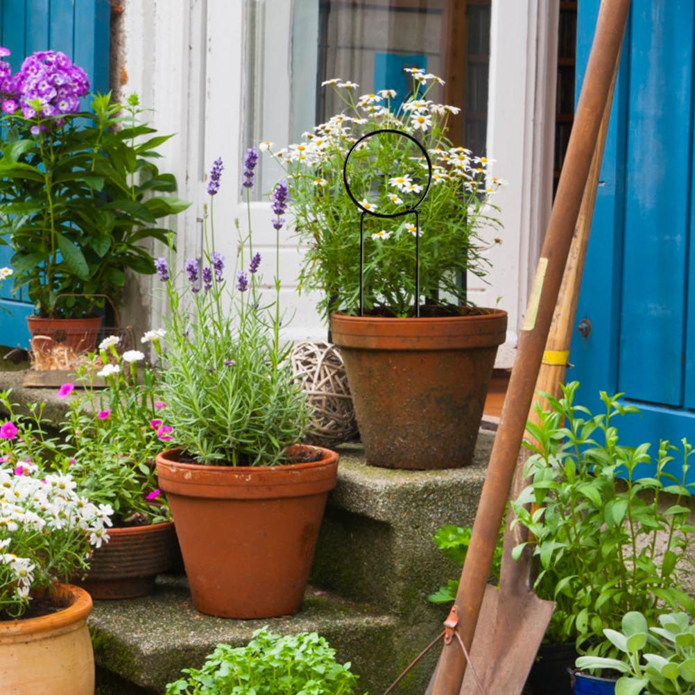 3 Pcs Metal Garden Trellis Climbing Plants Support Indoor Iron Plant Trellis for Ivy Vine Rose