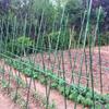 Vegetable Garden Climbing Support: Bean, Cucumber, and Runner Bean Trellis Frame