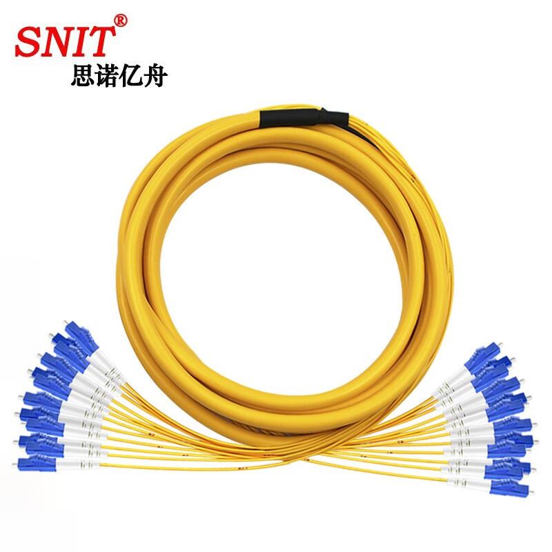 SNIT 12-Core Breakout Single-Mode Fiber Patch Cord