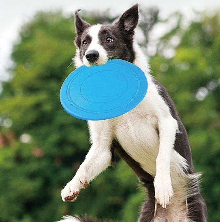 Bite-Resistant Soft Frisbee Disc for Dogs - Ideal for Training Border Collies, Golden Retrievers, Labradors, and Other Medium to Large Breeds