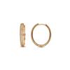 Earrings - LUXENTER - Olide - Zirconia - Silver with 18K Yellow Gold Finish - Woman