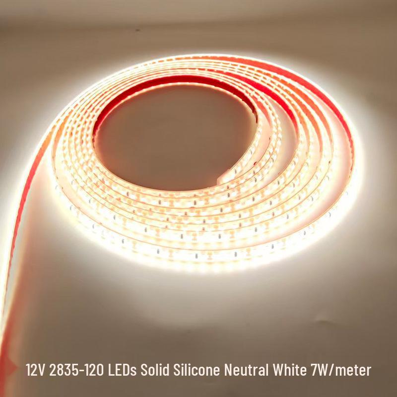 LED Solid Silicone Light Strip, 12V/24V, 2835 Single Row, 120 LEDs for Fish Tank, Swimming Pool, Outdoor Use