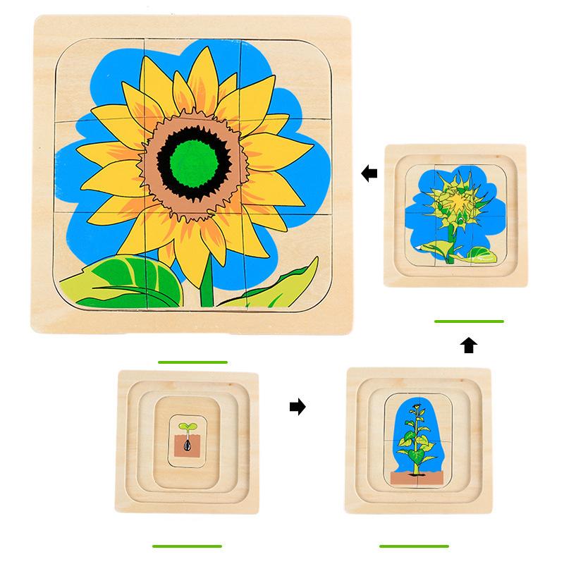 

Wooden Kids Animal/ Plant Life Cycle 3D Puzzle Toy Montessori Teaching Aids Multi-Layer Jigsaw Early Learning Toys For Preschool