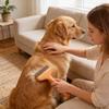 Pet Grooming Brush Abs Material With Easy Fur Removal For Cats And Dogs With Hair Loss Prevention