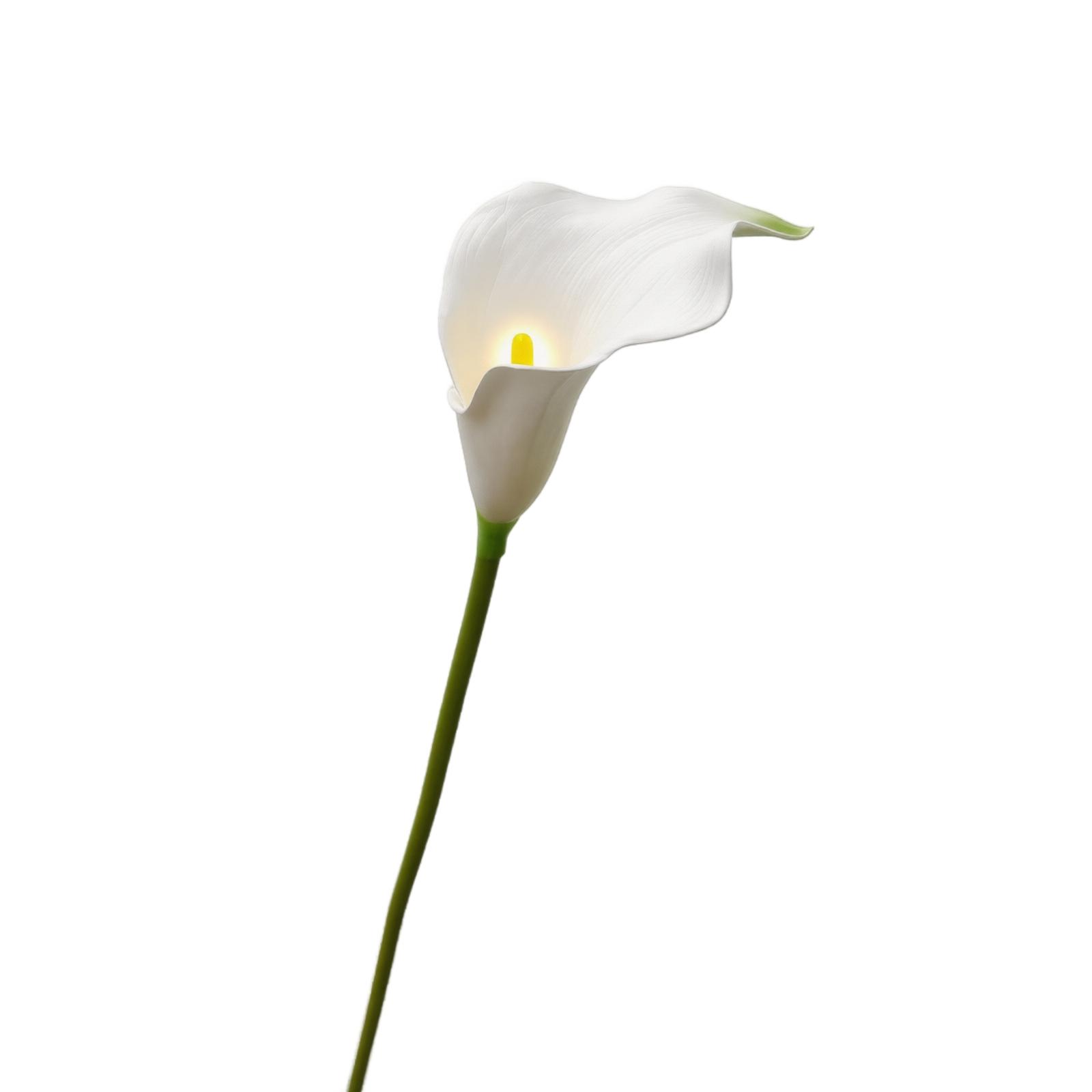 

Artificial Calla Lily Flower Stem EVA Foam Material Realistic Texture Single Stem for Home Office Wedding Decoration Floral Arrangement One Size белый