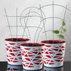 KADAX Potted Ladder Support For Plants Flowers Steel Stake Green 3pcs