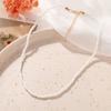 Fashion Creative Colorful Rice Bead Necklace Bohemian Clavicle Choker Beaded Necklace Jewelry Gifts for Women