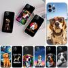 Huse pentru telefoane – Huse tip bumper pentru telefon