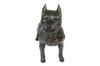 Staffordshire Bull Terrier, Staffik, Staffi I - Statuetka Psa W Naturalnym Rozmiarze, Figura W Skali 1:1, Posąg Do Ogrodu Marki Art-Dog