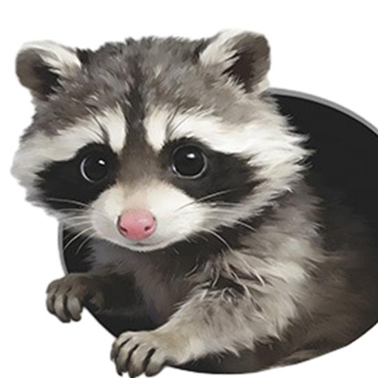 Yousheng Creative 3D Peeking Raccoon Toilet Stickers, Self-Adhesive Toilet Seat Sticker, Waterproof PVC Water Tank Sticker, Peel And Stick Raccoon